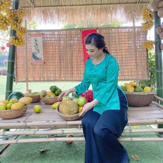 Bà ba gấm áo lẻ( không kèm quần), đồ gấm lụa cao cấp Top áo nữ Women