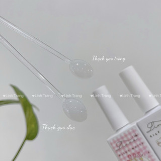 Sơn Gel Thạch Nước Gạo Linna 15ml