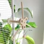 Chuông xoay hàng đầu Cối xay gió Đồ chơi vẹt với thiết kế nhai an toàn Trang trí xoay đầy màu sắc cho hoạt động của chim
