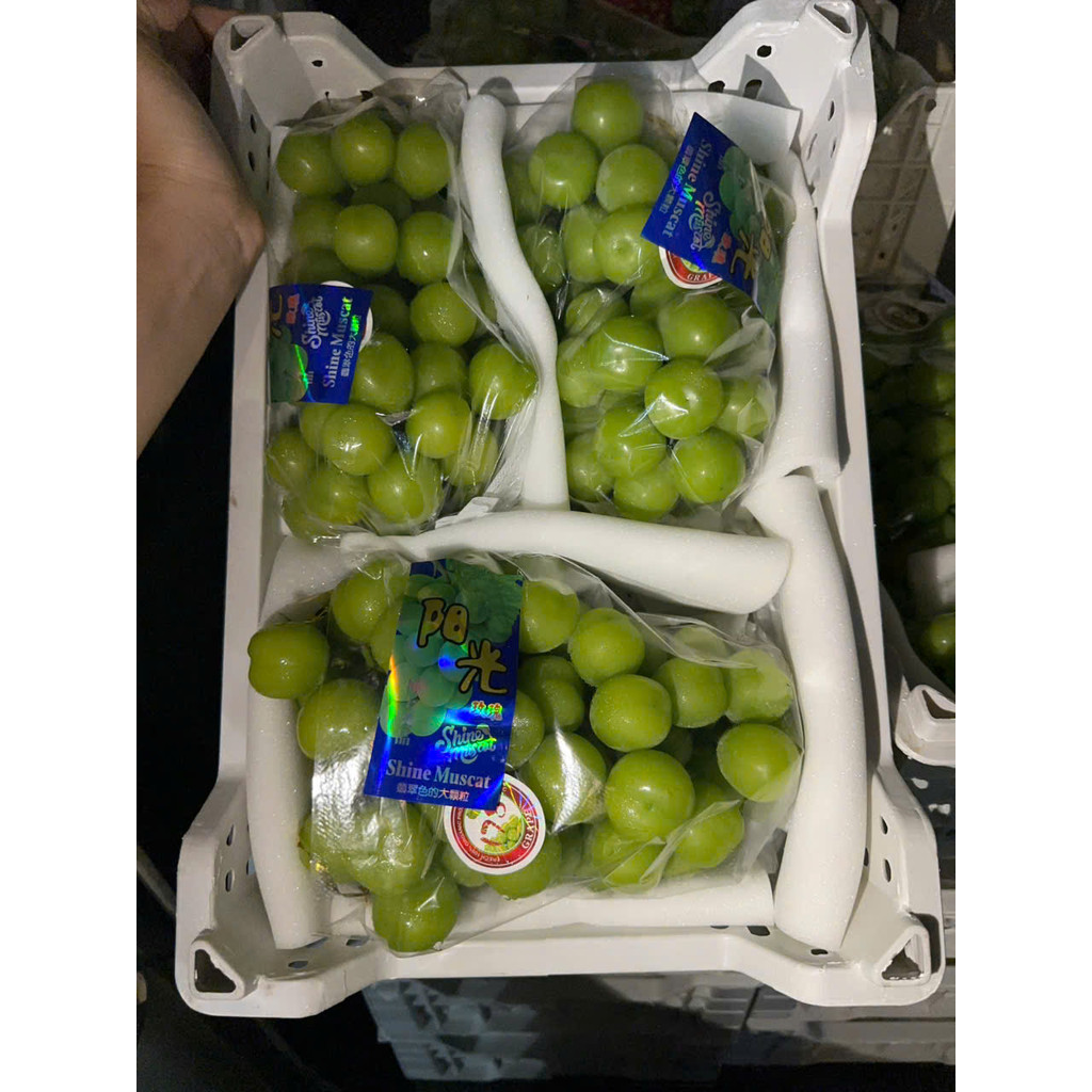 [Ship Hỏa Tốc HCM 1-2 giờ ] 1 Hộp mẫu đơn đóng hộp (500-700g).Nguyên chùm