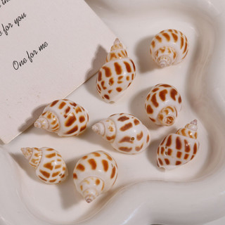 Tự nhiên Conch Ocean Series 3D Conch Phụ kiện Trang sức Tự làm Bông Tai Mũ nón Mặt Dây chuyền Phụ nữ Chất liệu Bán buôn