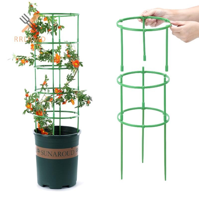 Rrlnmd 1 Bộ Trellis Cà Chua Có Thể Điều Chỉnh Cọc Cây Vườn Trellis Cây Cà Chua Hỗ Trợ Lồng Cho Sân Vườn Phát Triển Tiếp Liệu MỚI