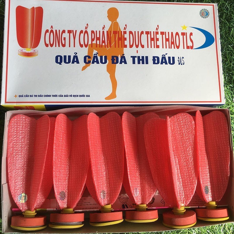 Hộp quả cầu đá thi đấu ĐLS( 6 quả), Quả cầu chinh