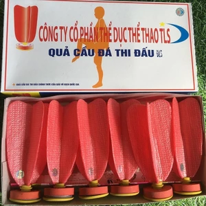Hộp quả cầu đá thi đấu ĐLS( 6 quả), Quả cầu chinh