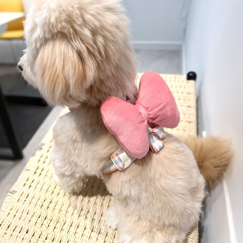 [Pet-Eleven] Nơ Ngực Lưng Dây Xích Chó Phong Cách Mùa Hè Thoáng Mát Cho Chó Ngực Ngoài Trời Dây Xích Đi Bộ Chó Dễ Thương Đi Bộ Dụng Cụ Tiện Dụng Teddy Pomeranian Maltese