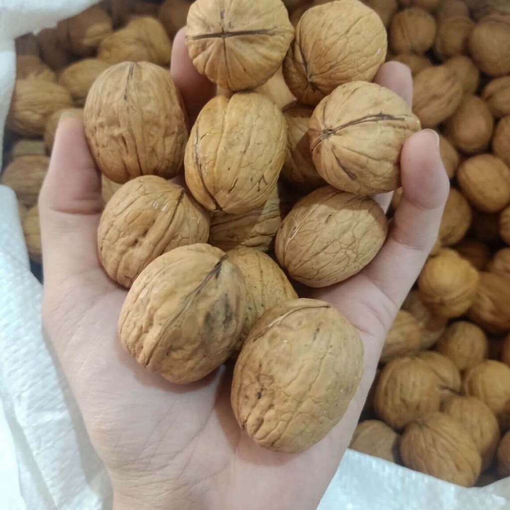 Quả Óc Chó Mỹ Vàng Nhiều Dinh Dưỡng Dễ Ăn - Xưởng Hạt Dinh Dưỡng Bảo Tâm