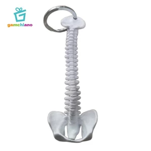 Gamchiano Mini Human Spine Skeleton Model Key Ring Dụng cụ học tập Trường học Đồ dùng phòng thí nghiệm