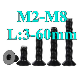 ((LLY) Vít Bulông đầu chỏm cầu , bulong  đầu bằng inox 304 Đen，Bu Lông Đầu Lục Giác Dẹp Siêu Mỏng Bằng，Ốc vít  đầu lục giác dẹp mỏng phẳng M2-M8 * L: 3-60mm (RM-VN-1)