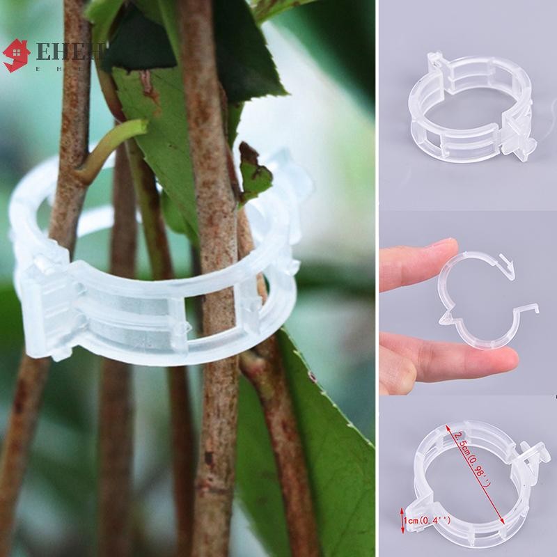DỄ DÀNG 50 / 100 Chiếc Nhựa Có Thể Tái Sử Dụng Kẹp Hỗ Trợ Cây Nho Rau