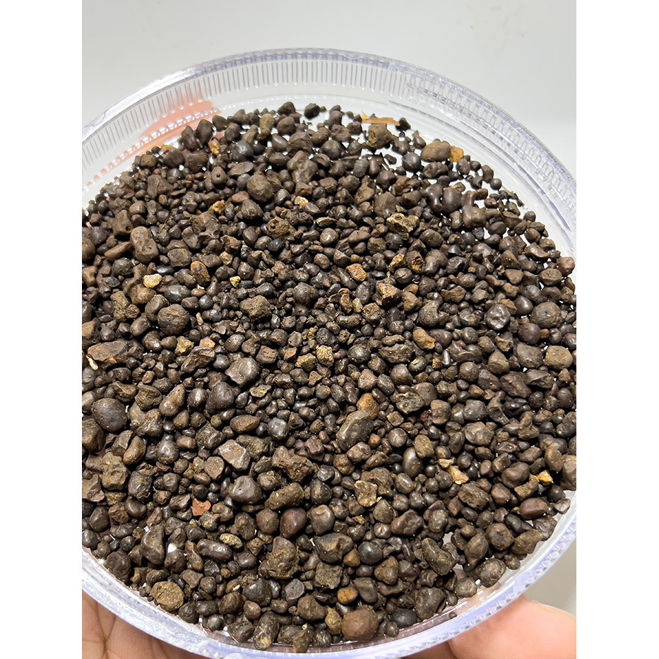 Sỏi Suối Nâu Trải Nền Trang Trí Cho Bể Cá Cảnh, Tiểu Cảnh Cực Đẹp (Túi 500gram)