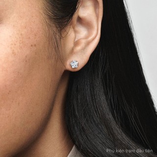 Hàng Hóa Tại Chỗ 925 Sterling Silver Stud Bông Tai Long Lanh Hình Dạng Ngôi Sao 290023c01 Thời Trang Sterling Silver Stud Bông Tai Cho Phụ Nữ