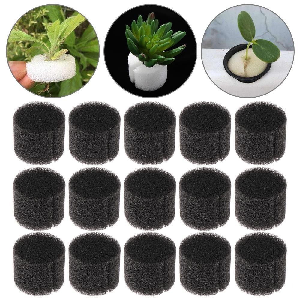 PWSSEND 50 / 100 Chiếc Miếng Bọt Biển Mầm Non, Miếng Bọt Biển Trồng Tròn Thủy Canh, Dụng Cụ Làm Vườn Bọt Biển Hạt Giống Thủy Canh Không Đất