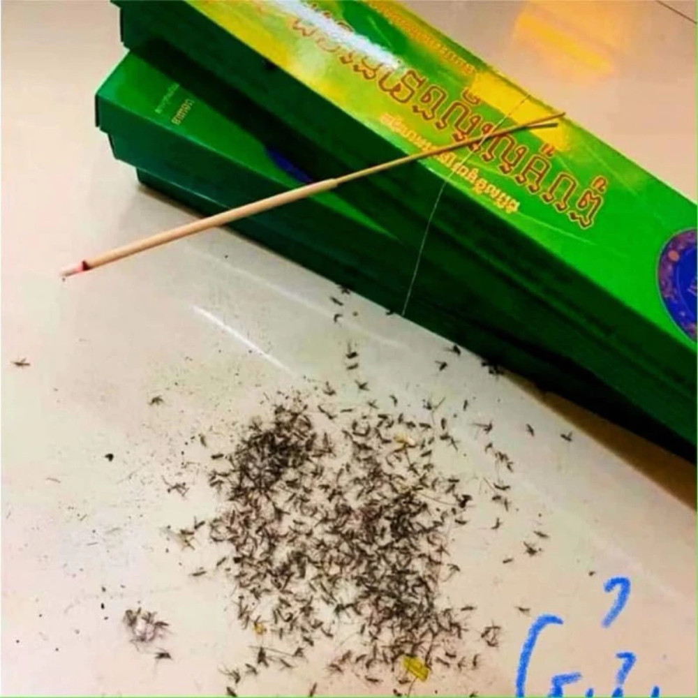 Combo 5 Hộp Nhang Muỗi Xanh Diệt Muỗi Côn Trùng Thái Lan Hiệu Quả DT005