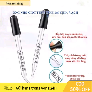 【24H】Ống Nhỏ Giọt 1ml Kèm Bóp Cao Su – Pipet Thủy Tinh Hút Mỹ Phẩm, Tinh Dầu