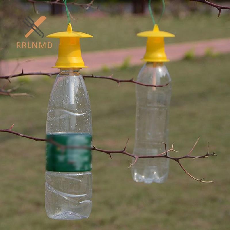 Rrlnmd > 5 CHIẾC Bẫy Ruồi Trái Cây Diệt Bẫy Drosophila Fly Catcher Pest Côn Trùng Kiểm Soát MỚI