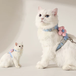 Dây nịt chó có dây xích Dây đeo an toàn cho chó mèo nhẹ cho chó mèo