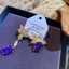 Hàn Quốc Phong Cách Mới Zircon Thời Trang Thanh Lịch Nhẹ Bông Tai Sang Trọng Bán Buôn