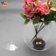 Bình trồng cây Perfk Trang trí 6.30 '' Hộp đựng thực vật thủy tinh cho muối