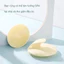 Bàn Chải Dầu Gội Silicon Làm Sạch Gàu Massage Da Đầu Magic Massage Lược Chống Ngứa Thiết Bị Trầy Xước Đầu Massage