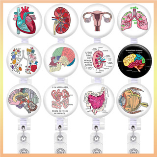Trái tim, phổi, não và các cơ quan ruột lớn dễ kéo và rút lại, với thẻ nhận dạng, Huy hiệu bác sĩ và y tá, Huy hiệu và huy hiệu