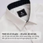 Áo sơ mi trắng nam cộc tay Phan Nguyễn, chất liệu modal mềm mịn, thoáng mát, form slim fit SMC.545