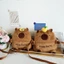 Túi đựng điện thoại đeo chéo AWNGD, Túi đeo vai sang trọng Capybara hoạt hình, có dây đeo có thể điều chỉnh Túi đựng đồ trẻ em có dây kéo dung lượng lớn