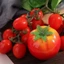 DELMER Mô Phỏng Cà Chua, Thủ Công Thủ Công Như Thật Bọt Nhân Tạo Cà Chua Trang Trí, Trái Cây Giả Mini Dễ Thương Rau Giả Trang Trí Bàn Làm Việc Phụ Kiện