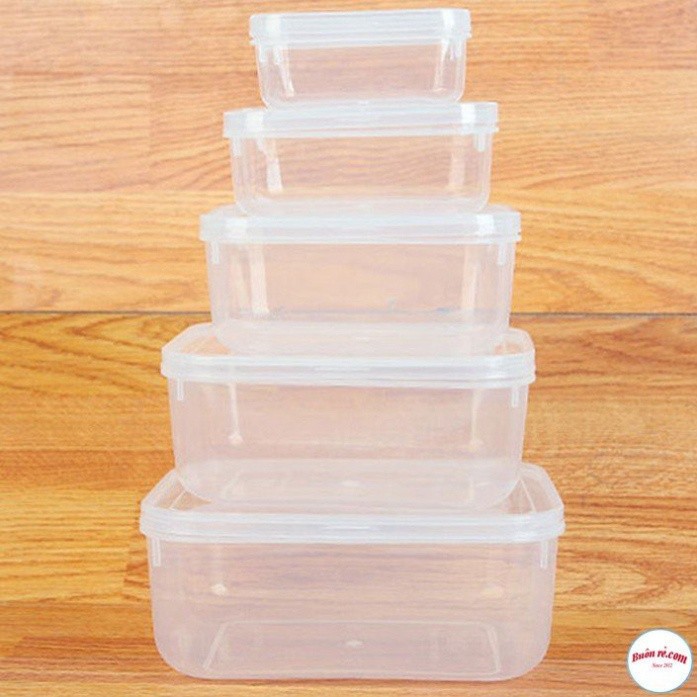 Bộ 5 hộp lạnh bầu đựng thức ăn Việt Nhật -Hộp trữ đồ đông đồ ăn dặm cho bé (MS:6685) an toàn tiện lợi - br 01285 Babee
