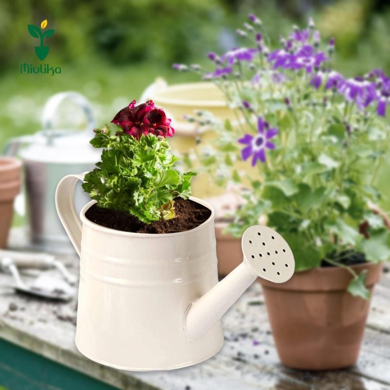 Bình tưới nước bằng kim loại Mini Miulika, Chậu trồng cây, Hộp đựng hoa mộc mạc đa năng 9.6x4.5
