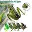 5cm 12g Thunderfrog Road Runner Mồi Câu Cá Ếch Mồi Giả Dụng Cụ Câu Cá Cho Cá Đen 5 Màu [MỚI]