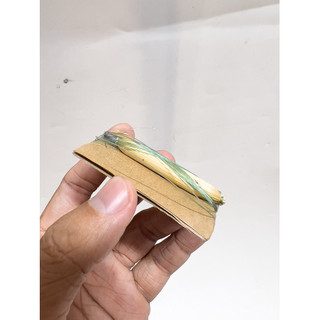Phao Bắp + 2m5 Dây Cước + Chì Câu Cá (3 Phao)