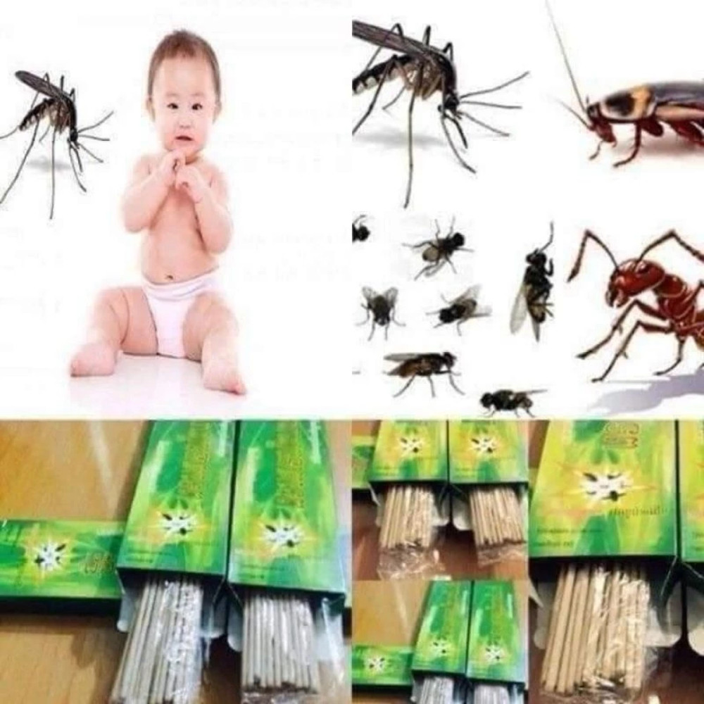 Combo 5 Hộp Nhang Muỗi Xanh Diệt Muỗi Côn Trùng Thái Lan Hiệu Quả DT005