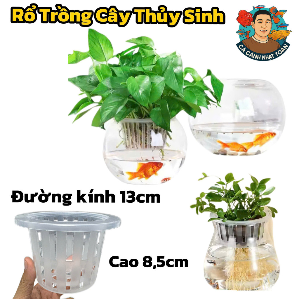 Rổ Nhựa Trồng Cây Thủy Sinh, Thủy Canh Cho Chậu Tròn (13x9cm)