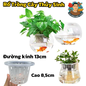 Rổ Nhựa Trồng Cây Thủy Sinh, Thủy Canh Cho Chậu Tròn (13x9cm)