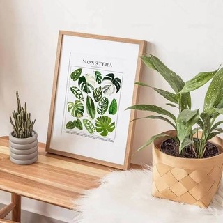 Phong cách tối giản cổ điển thực vật nhiệt đới hoa nghệ thuật treo tường vải HD áp phích in hình phù hợp cho phòng khách, trang trí phòng ngủ