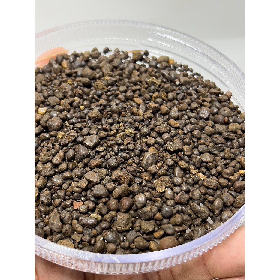 Sỏi Suối Nâu Trải Nền Trang Trí Cho Bể Cá Cảnh, Tiểu Cảnh Cực Đẹp (Túi 500gram)
