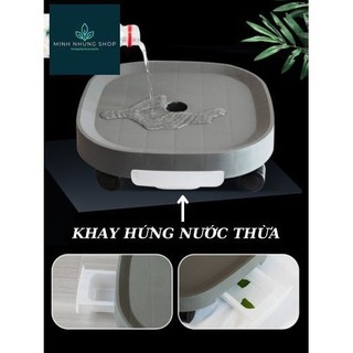Kệ đế chậu cây di động có bánh xe và khay hứng nước thừa tiện lợi.