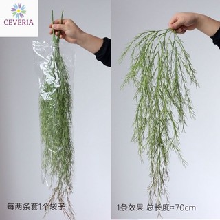 Cành măng tây rừng dáng rủ treo tường cành dày nhiều nhánh CEVERIA 55cm phù hợp trag trí nhà, làm hoa cưới