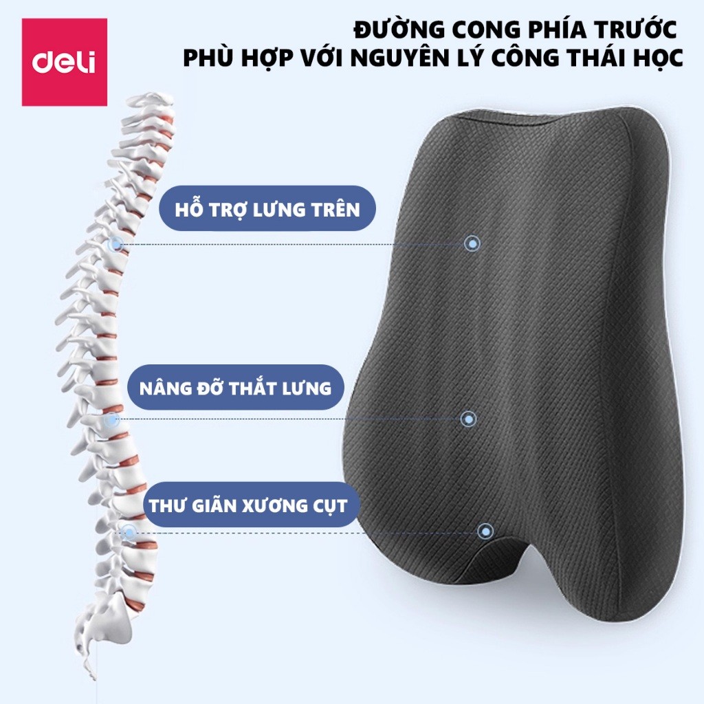 Combo Bộ gối tựa lưng và đệm Foam lót ghế văn phòng DELI, giảm đau mỏi chống gù lưng, hỗ trợ giảm đau ngồi lâu