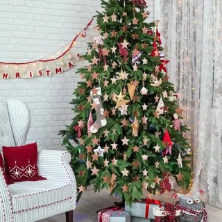 Trang Trí Đám Cưới 4m Ngôi Sao Tông Vòng Hoa Treo Bunting Xmas Trang Trí Tiệc Tiếp Liệu Cho Bé Tắm Sinh Nhật Dây Streamers