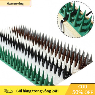 【24H】Hàng Rào Gai An Ninh Sân Vườn – Bảo Vệ Nhà Cửa, Chống Leo Trèo Hiệu Quả