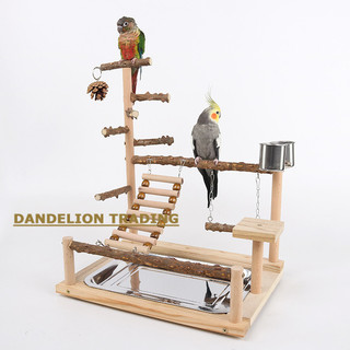 [DANDELION] Giá đỡ chim Vẹt Leo Lưới Khung leo Vẹt Giá đỡ huấn luyện Vẹt Cloud Thang xích đu Đồ chơi chim Cầu treo