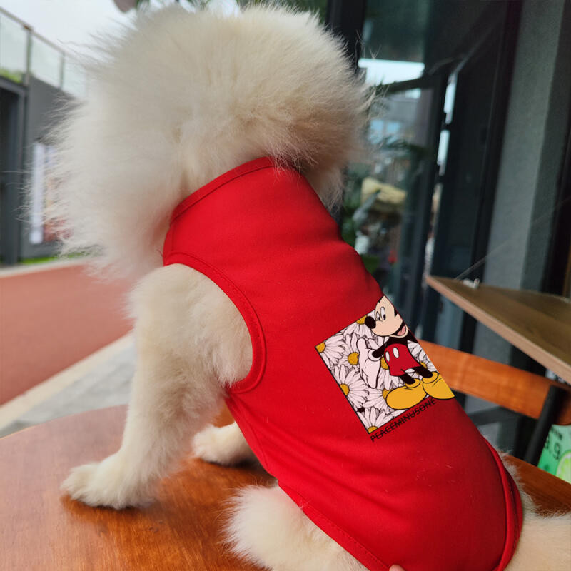 Mickey Minnie Donald họa tiết Vịt mèo / chó in áo vest chó mèo thoáng khí cho chó nhỏ và vừa