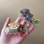 THEGIRL8B Koala Vuốt Tóc, Phim Hoạt Hình Acrylic Động Vật Tóc, Sáng Tạo Sinh Vật Biển Mũ Đội Đầu Gấu Cá Mập Lớn Kẹp Cô Gái