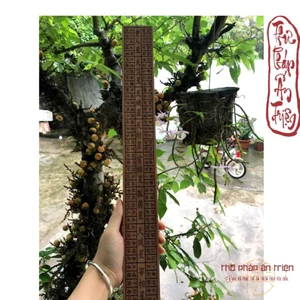 Dụng Cụ PHONG THỦY THƯỚC LỖ BAN PHONG THỦY GỖ ĐÀO 46CM HÁN TỰ có miễn phí vận chuyển