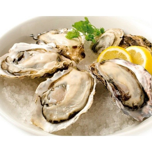 Tinh chất hàu New Zealand  Oyster Plus tăng cường sinh lý nam giới hộp 60 viên