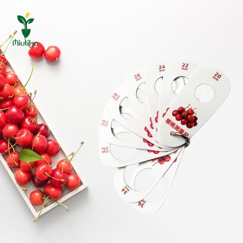 Thước đo trái cây, Dụng cụ đo đường kính trái cây di động, việt quất