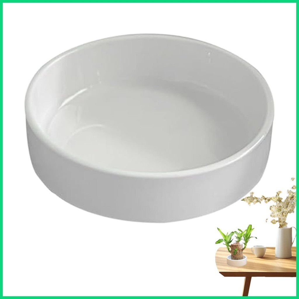 Giá Đỡ Lọ Hoa Pallet Gỗ Brazil Trắng Giá Đỡ Khay Đĩa Thực Vật Chậu Đế Gỗ Brazil Khay Trang Sức Khay jiwvn