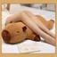 YOLOGO 40 / 60 / 80cm Capybara Sang Trọng Đồ Chơi, Gối Ôm Cơ Thể Nhồi Bông, Hoạt Hình Ngủ Khổng Lồ Sáng Tạo Hình Chữ Nhật Đệm Trang Trí Nhà Cửa