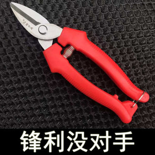 Quảng Tây Dày Bền Kéo Kéo Cắt Tỉa Wogan Trái Cây Chọn Mỏng Cắt Trái Cây Cắt Hoa Cam quýt Khuỷu Tay Kéo Cắt Trái Cây Kéo